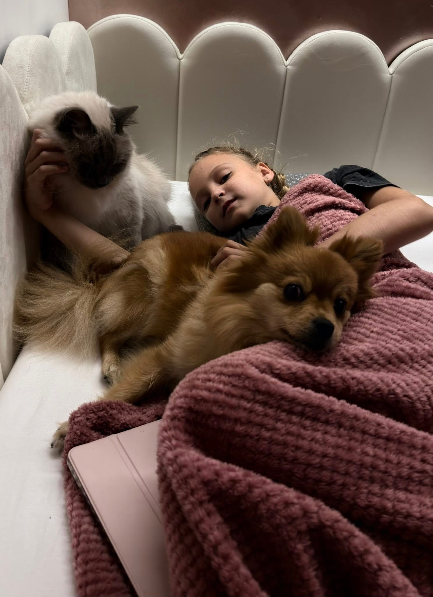Měsíce rekonvalescence v leže s domácími mazlíčky